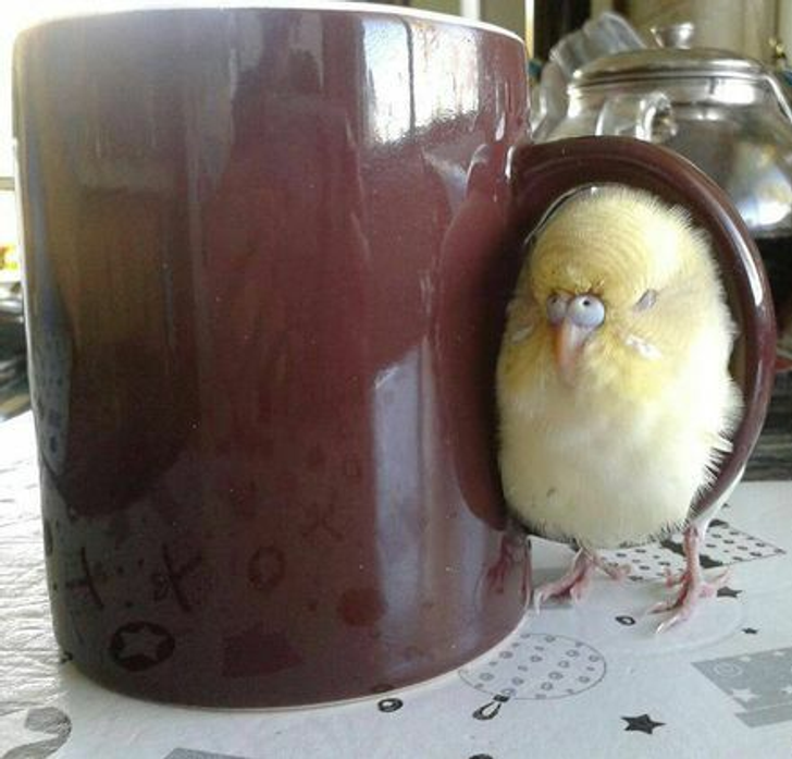 a98a50512e8140088a036a6bc7