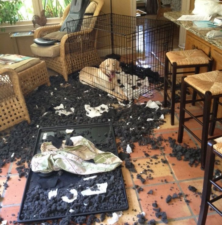 a98ac953e9b84741f7ac65a43c