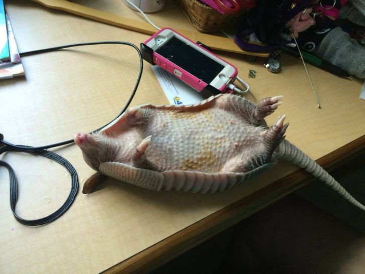 a98cb55e15b99a4f2582e78289