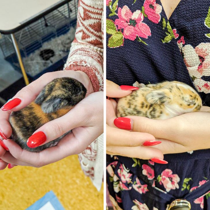 a98e5a5045ae1ecd8cb7790c84