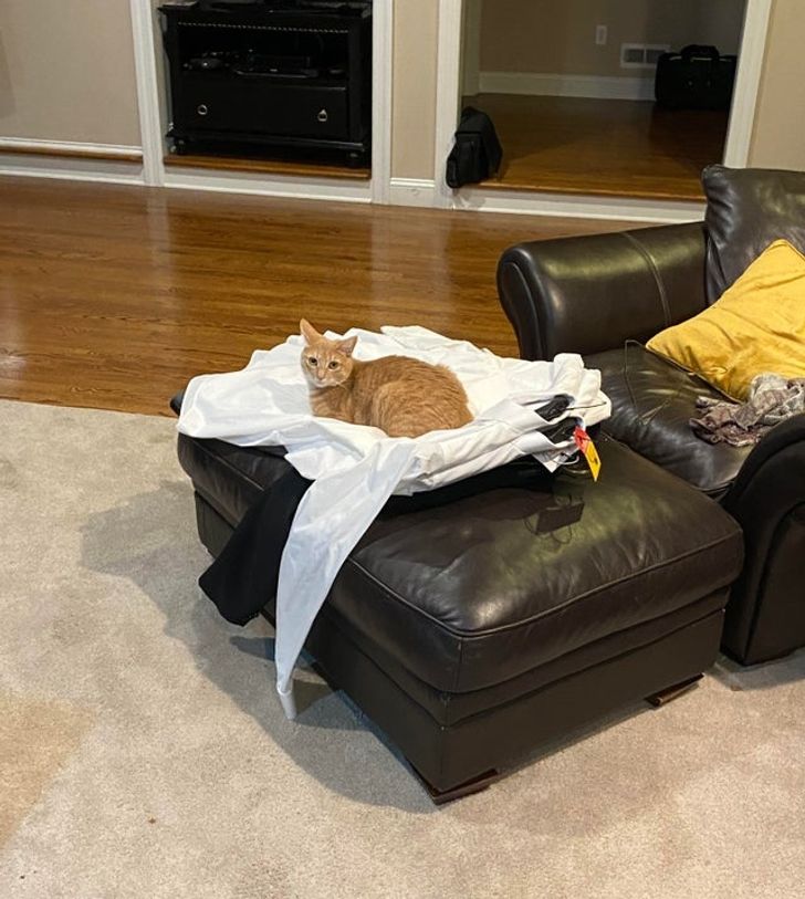 a99bd35c2191aeb2ed6efc22c7