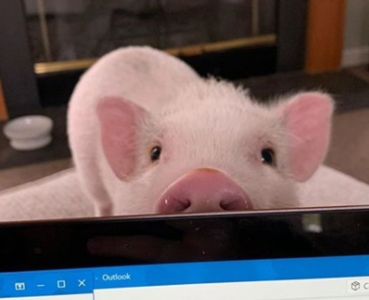 a99d9b5510b123b6d4018dfd89