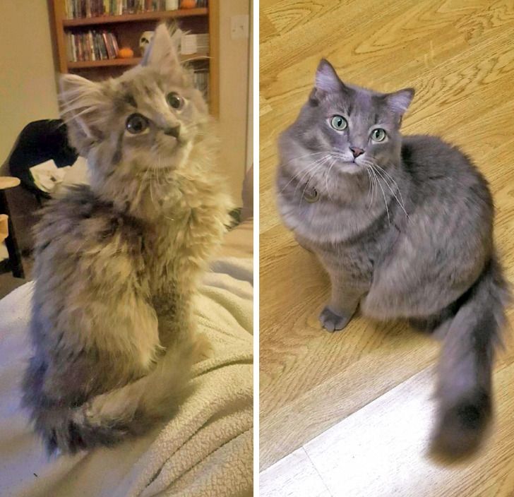 a99f845f1b98367b0b42c6598a a99f845f1b98367b0b42c6598a