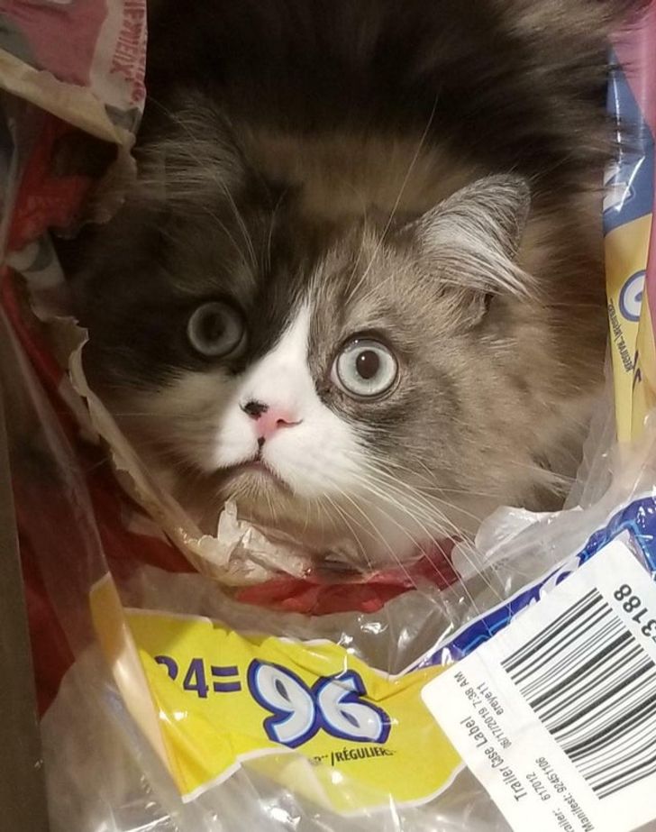 a9a4e058388ae5629c9c0b4ec0