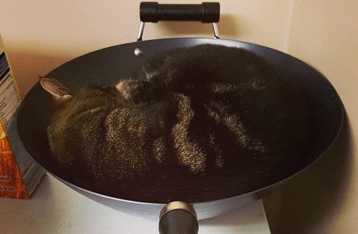 a9ac88568dac0d626b1bb46b93