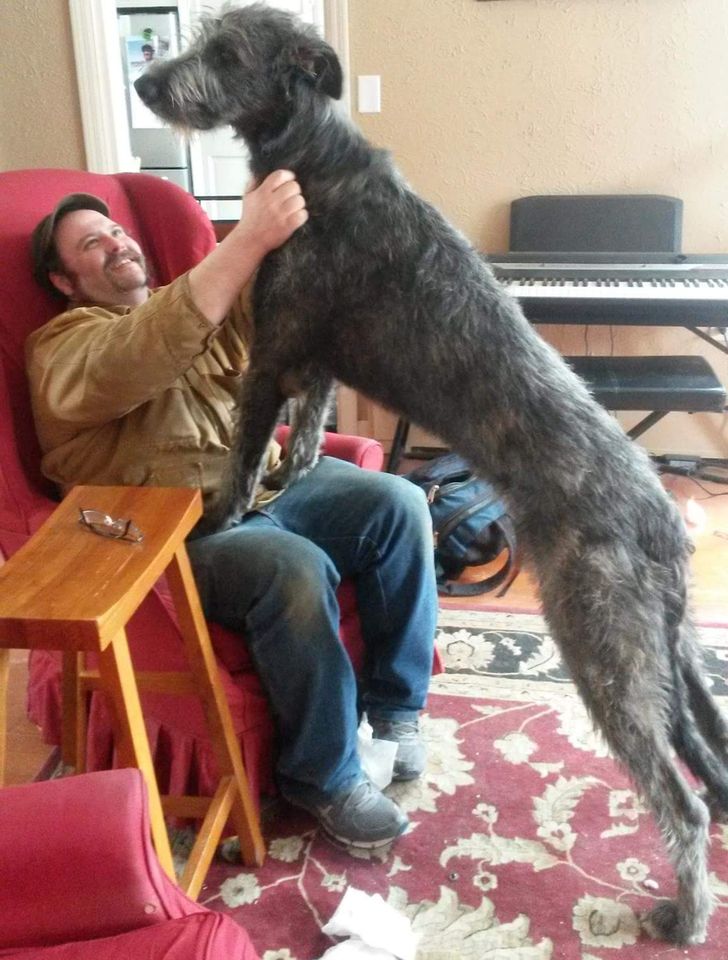 a9b09e58e0ad0c39127e020d7a