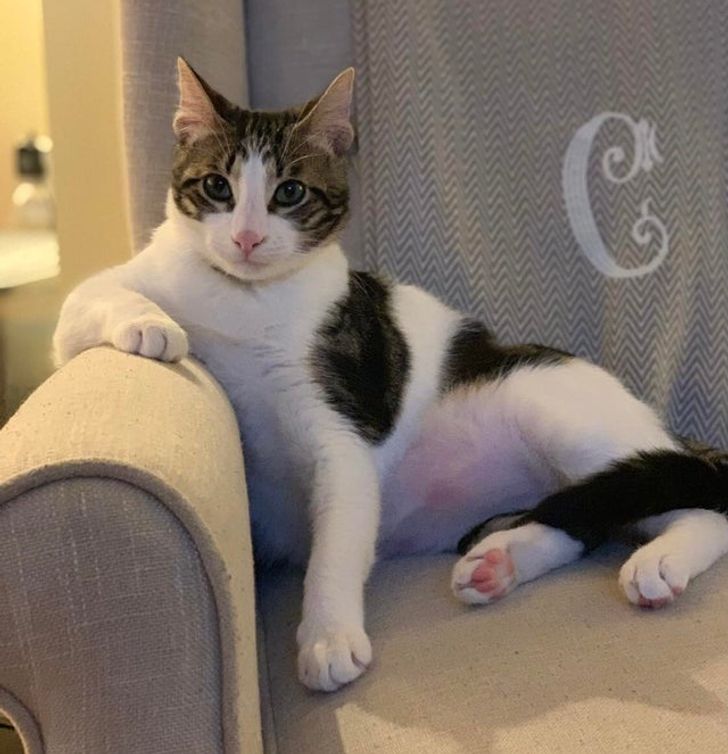 a9b3ce5d08a5b0c53f648ad015