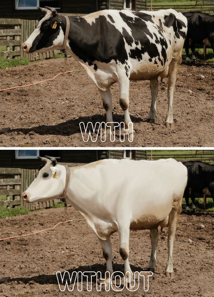 a9ba82552d90c5a83db4645ed8