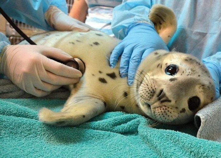 a9baa857069bfcaebf4055fe46