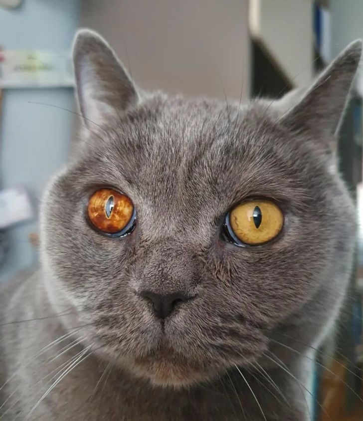 a9c13a553db3ed0f0ff06c1604