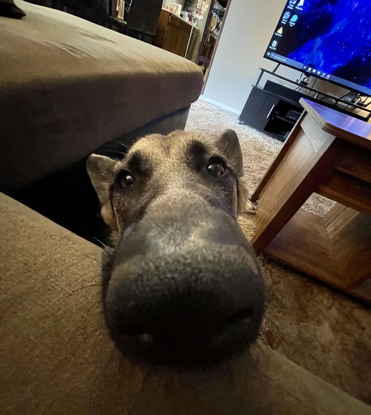 a9d4ce568f8a27f57d0b6c1aaa a9d4ce568f8a27f57d0b6c1aaa