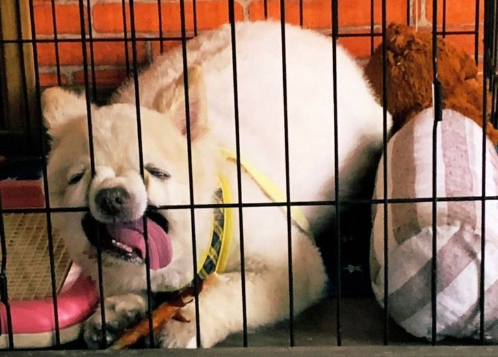 a9d77b5f29a36854dc302a78c9