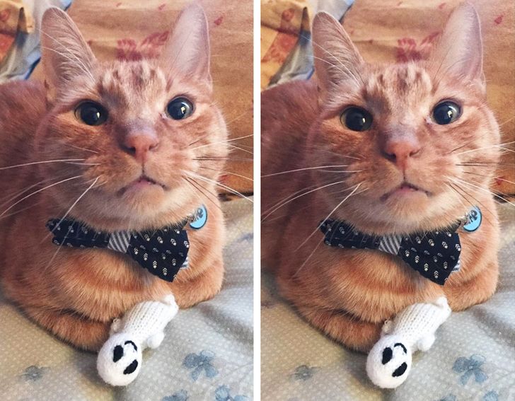 a9e29d52bdb753c9f2a4e57e63