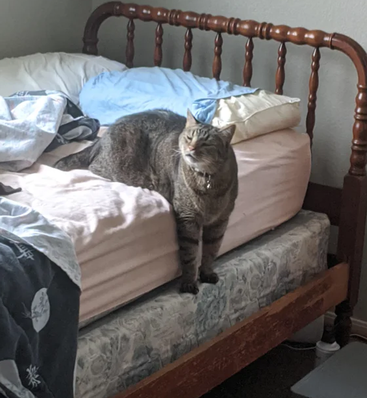 a9eb0b5b1c845d85bd2f62e677