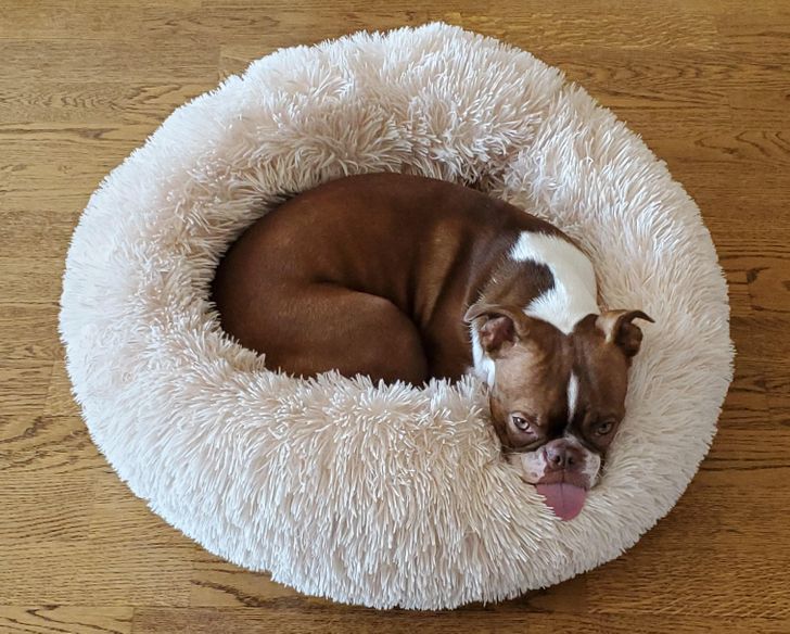 a9f02d54fc9c14e420d6a5926e a9f02d54fc9c14e420d6a5926e