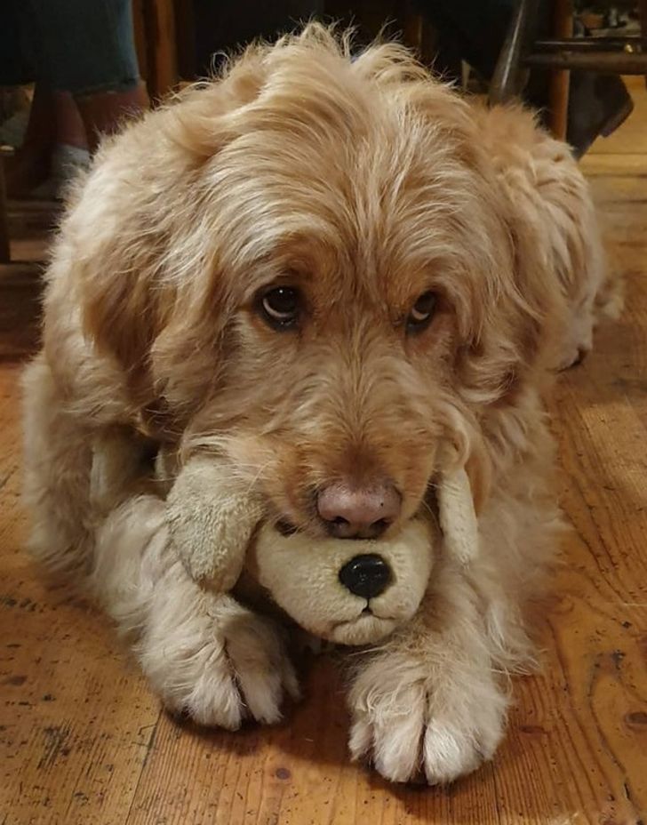 a9f6c759ed922d7de85f5be36f