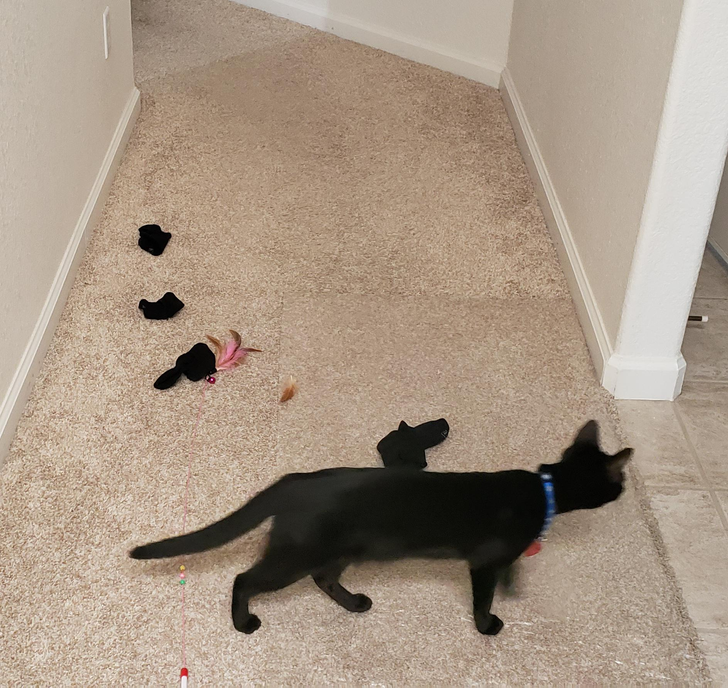 a9fff95e198b292c41bce61fe0