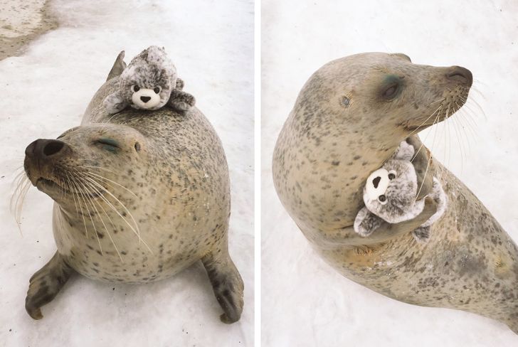 aa01e75ff5989e7828925c706a