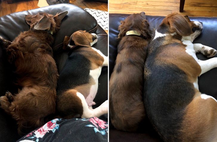 aa045350a0b39d6e02c5da06f3