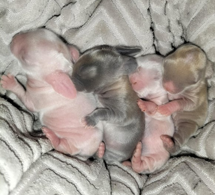 aa0629588e94d12dd4e182ad29