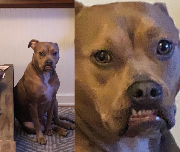 aa0cf955b99c078e54fac55af4