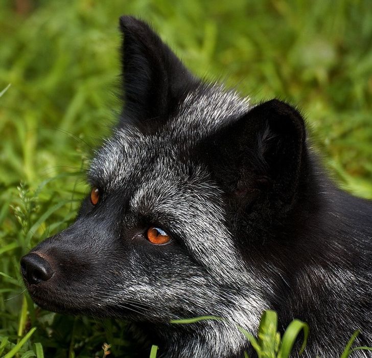 aa0e3e5cb4beee0c67efc053e1