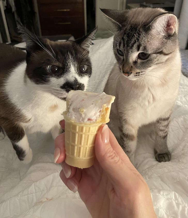 aa10d053c9a1db3cfee2f0bed2