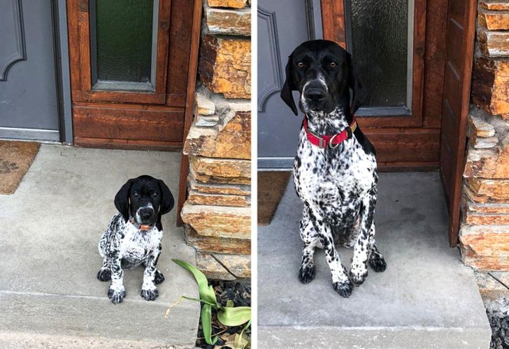 aa14db59f4a5d8005f3b1f8458