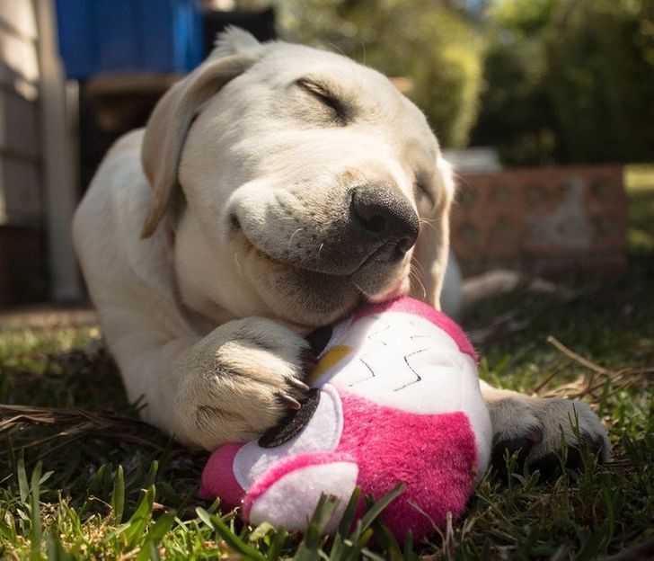 aa14db5bcbacb709ee9221af75