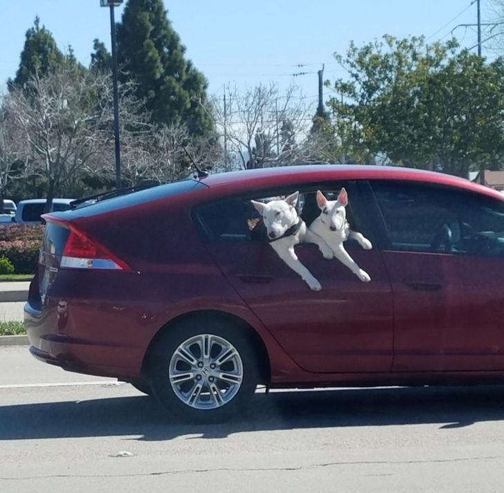 aa1d6d5a94ae6971cc11f2e87d