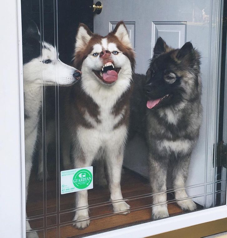 aa1ea25d56ab9046e33139351d