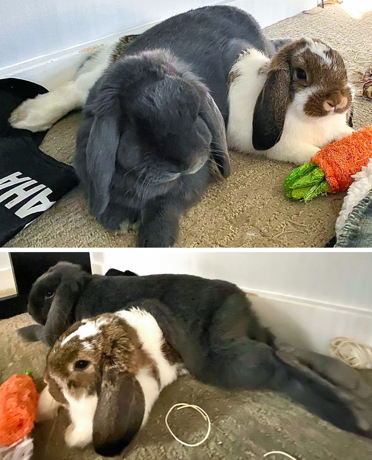 aa1f295473b8c10fef67a4f43f