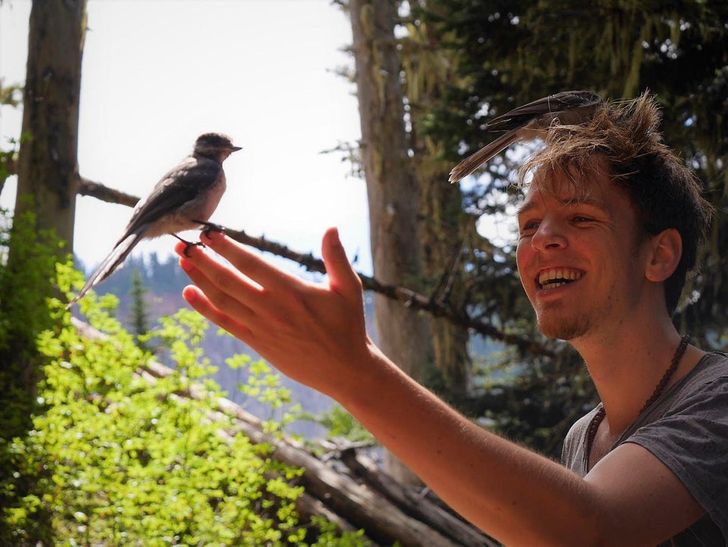 aa250a5ed6a17e45711b186839