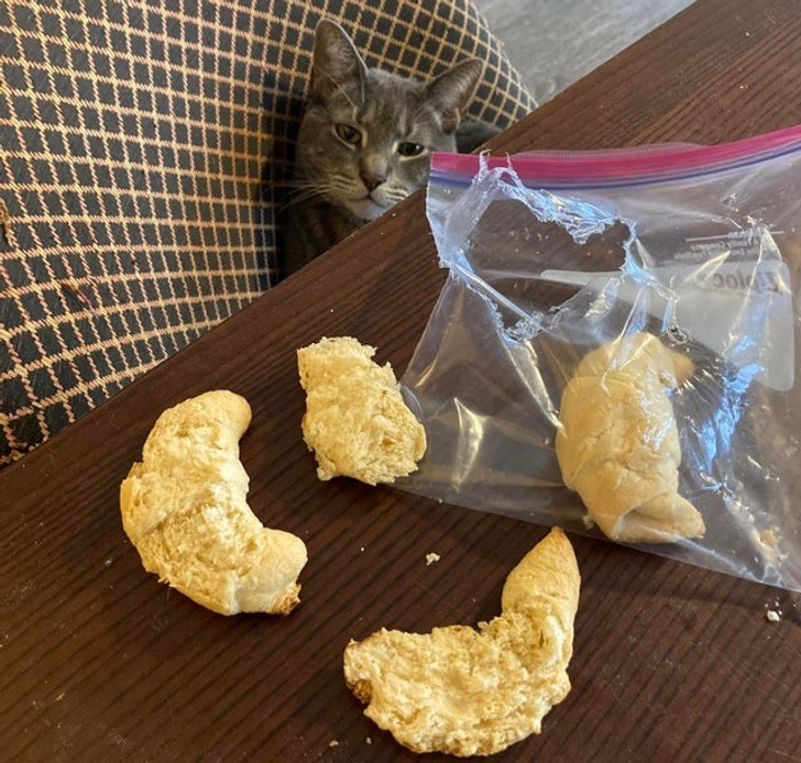 aa2c165e2eab7a5c3f15041823 aa2c165e2eab7a5c3f15041823