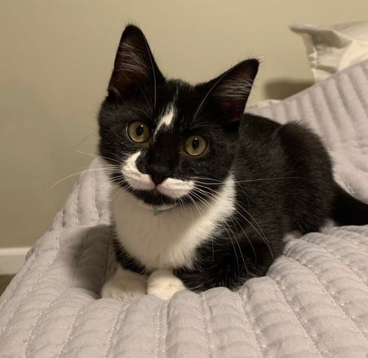 aa35315c9fa54880404a2e330d