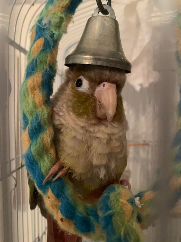 aa402b5e1cb8766f08c21f13b4