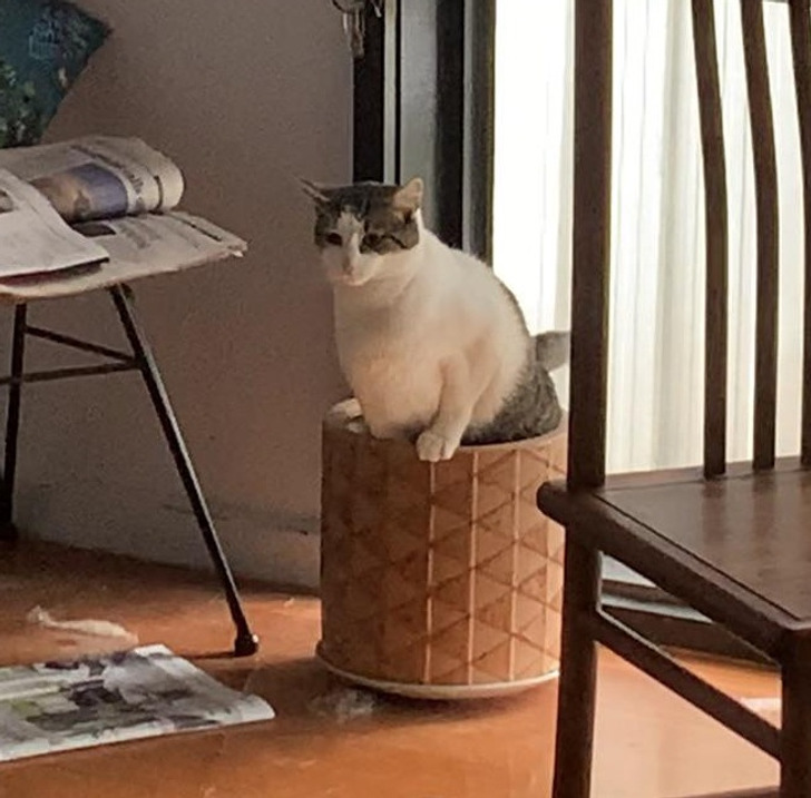 aa41665672b37678b7fff5bc62