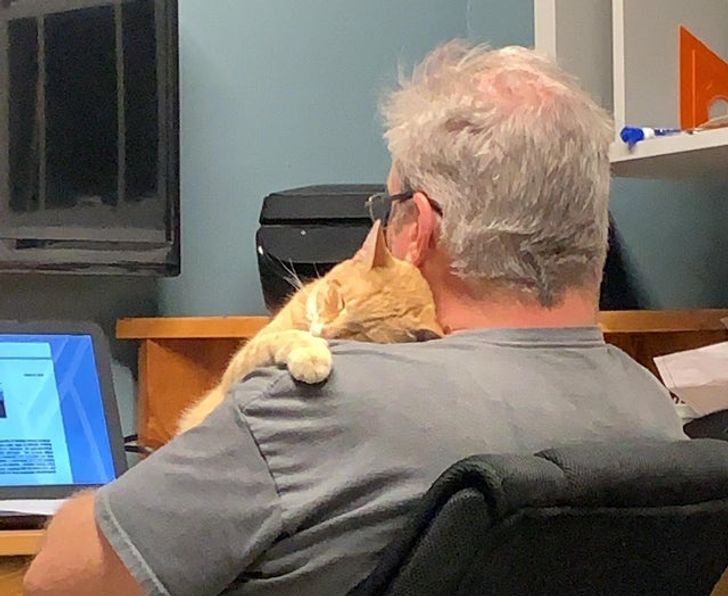 aa435f5be59b2d2c0fc43a8961