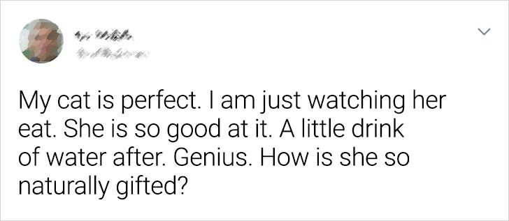 aa4bbe52d0bbd2f753711b2a12