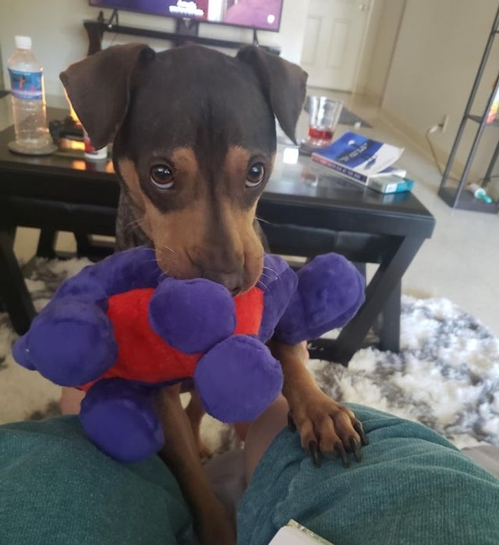 aa5f5759e9b18f567b0e6f0e7d