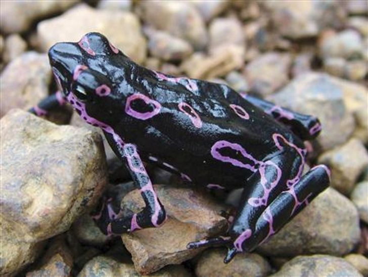 aa6c7d52409af3a41be7bf211a