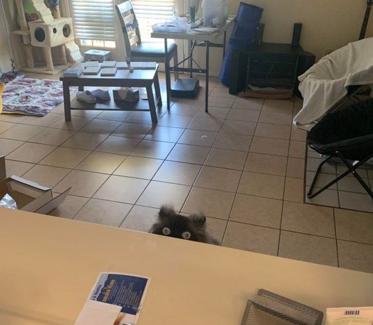 aa71f554c7ac4624e92cbee1a2