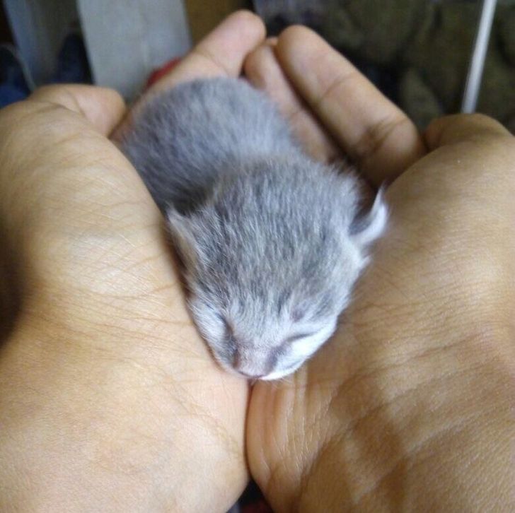 aa8afd5d7090a94261cc14722e