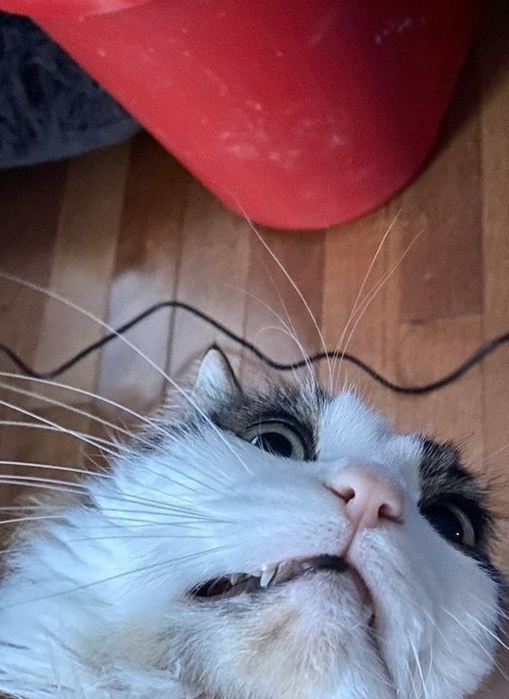 aa8b995b12b688b0c8a6e2e1f2