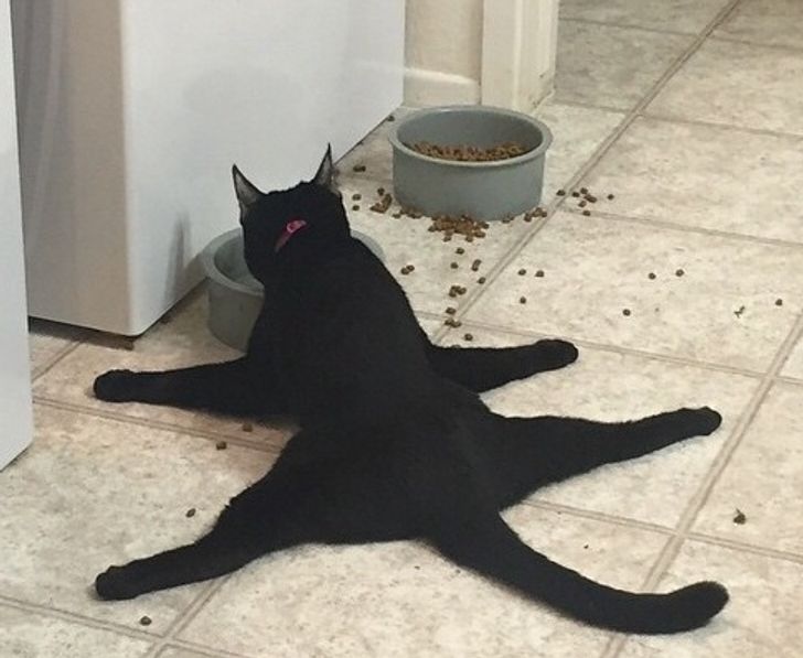 aa8cf6549b810f3c4bf0fc4644