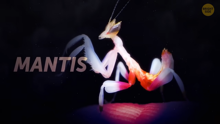 aa95d95acf8ea854288899874e