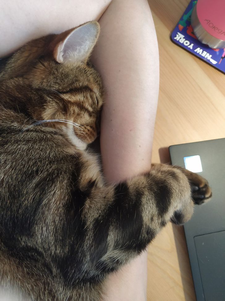 aa96445c7e8b59008ac12008ad