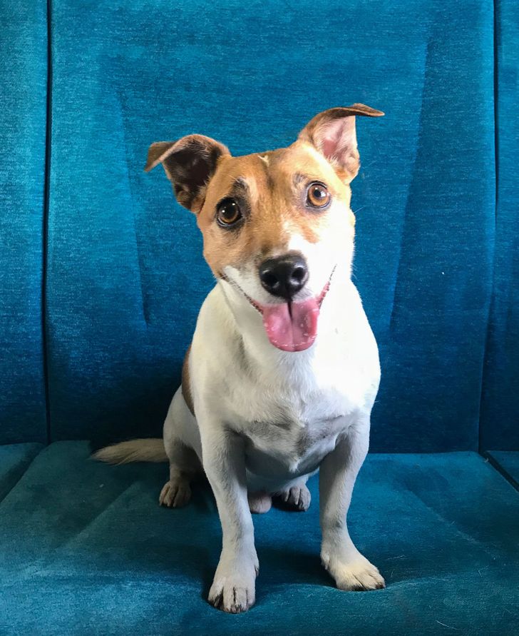 aa970755efb2f5dcab8259130b