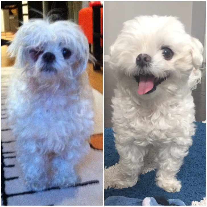 aa9e8b5a2f847700401a093127