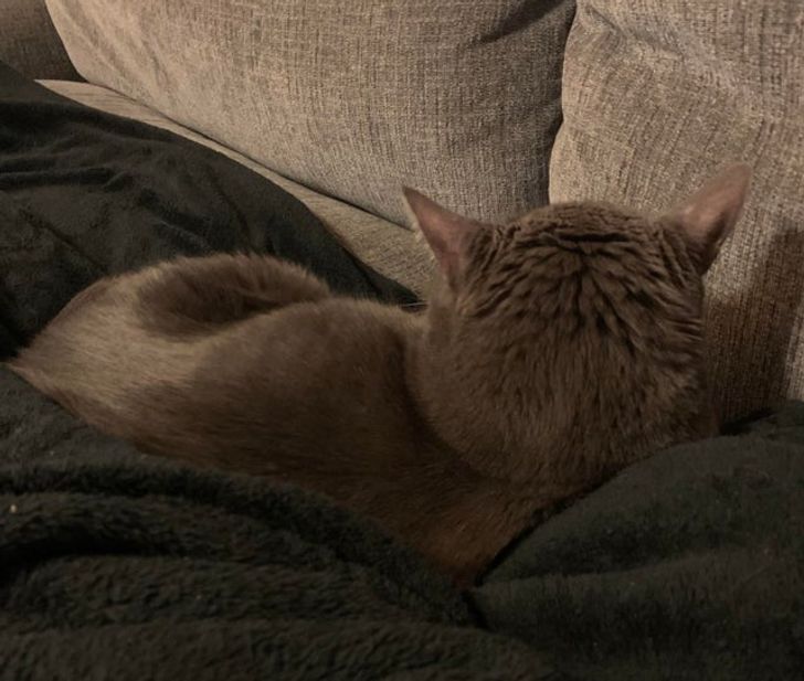 aaa24951898a8156293d862bfc